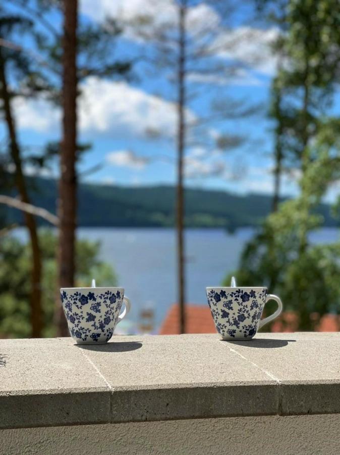 Apartman Ctyrlistek Lipno Daire Lipno nad Vltavou Dış mekan fotoğraf